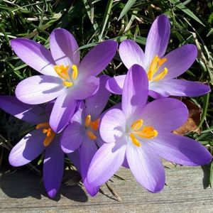 Meet your Posher, Shauna